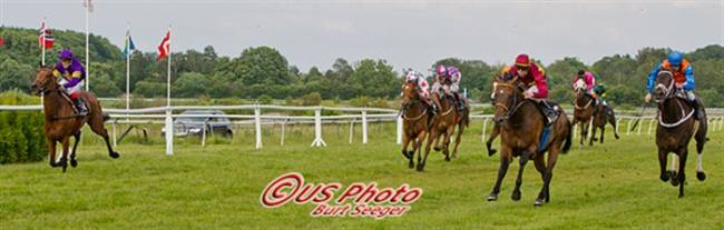 Cantenac - sikker vinder af Dansk Breeders Cup 2012. Foto Burt Seeger